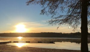 Solnedgång över en sjö med träd i förgrunden.