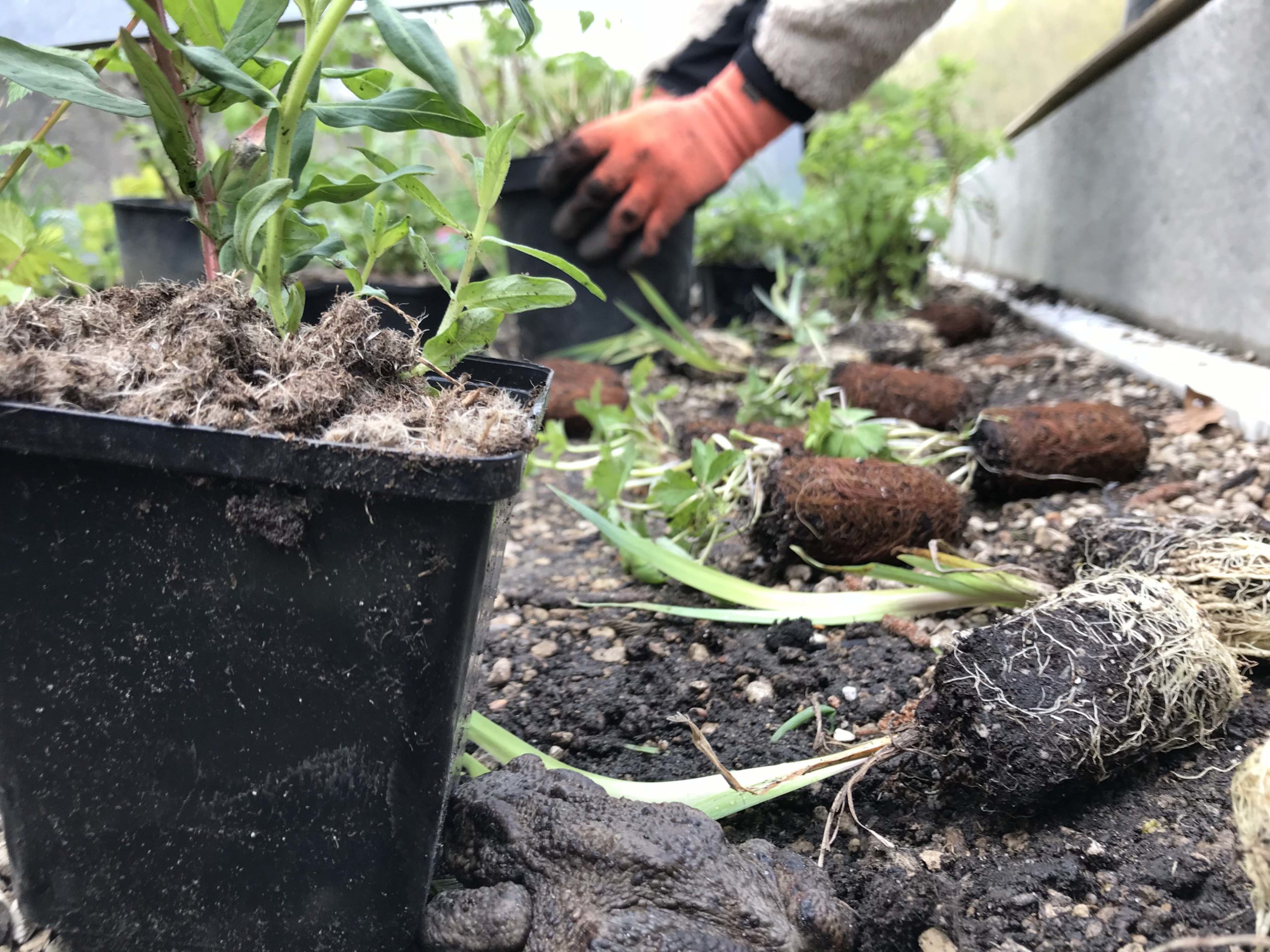 Urban Layers testbed Plantering under gallerdurk